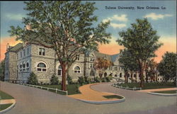 Tulane University Postcard