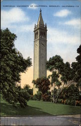 UnIversity of California - Campanile Postcard