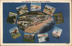 Various Views of Surrounding Area Postcard