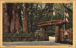 Entrance to Big Trees Park Santa Cruz, CA Postcard Postcard