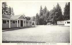 General view, Sequoia Gardens Postcard