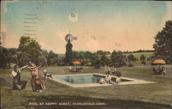 Pool at Happy Acres Postcard