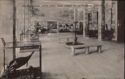 General View, Main Hall, New Jersey State Museum Postcard