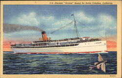 Steamer "Avalon" Bound for Santa Catalina, California Steamers Postcard Postcard