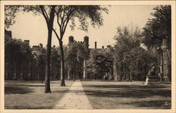 The American Scene - Old Campus, Looking South - Yale University New Haven, CT Postcard Postcard