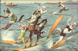 Cats Water Skiing Postcard Postcard