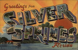 Greetings from Silver Springs Florida Postcard Postcard