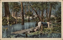 The Hunter Hunted, Caught by an Alligator in the Everglades Florida Postcard Postcard