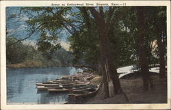 Scene on Cottonwood River Postcard