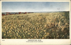 Harvesting Rice - Texas Leads in Rice Growing Postcard Postcard