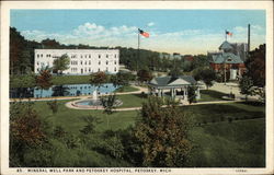 Mineral Well Park and Petoskey Hospital Michigan Postcard Postcard