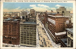 Woodward Ave. Looking North, Showing Heart of Shopping District Detroit, MI Postcard Postcard