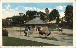 Camels, Park Mansion, Druid Hill Park Postcard