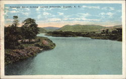 Delaware River Looking Toward Stilesville Postcard