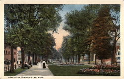 View in the Common Lynn, MA Postcard Postcard