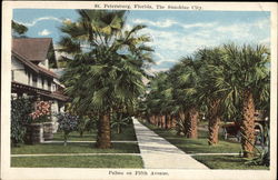 Palms on Fifth Avenue Postcard