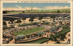 The Paddock at "Santa Anita", Los Angeles Turf Club Postcard