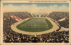 Coliseum, Exposition Park Postcard