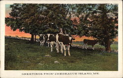 Greetings from Chebeague Island Maine Postcard Postcard