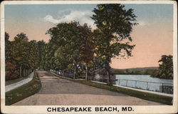 View of Tree-Lined Country Road Chesapeake Beach, MD Postcard Postcard