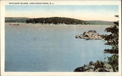 Raccoon Island, Lake Hopatcong Postcard