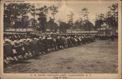 U.S. Naval Training Camp - Tug of War Postcard