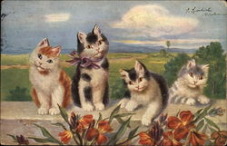 Four Kittens, one with Bow at Neck, Rest on Wall Postcard