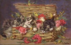 Three Cats in a Basket of Flowers Postcard Postcard