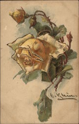 Yellow Rose Cutting Flowers Postcard Postcard