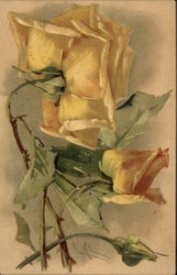 Yellow Roses Flowers Postcard Postcard