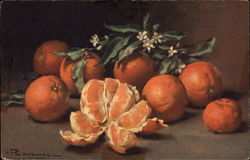 Still Lige with Satsumas/Clementines Still Life Postcard Postcard