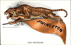 Princeton Tiger - The Defender Postcard