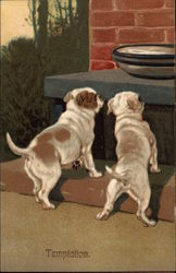 Two Dogs Looking at Bowl of White Liquid/Cream Postcard