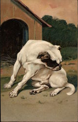 Dog and Dog House Postcard