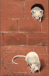 Two White Mice with Mouse Hole in Brick Wall Postcard