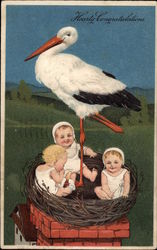 Stork with Three Babies in Nest on Chimney Multiple Babies Postcard Postcard