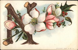 N with Apple Blossoms Alphabet Letters Postcard Postcard