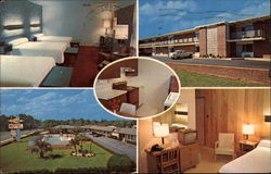 El Carlo Motel Postcard