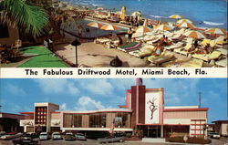 The Driftwood Motel Postcard