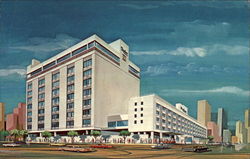 Skyline Motor Inn Postcard