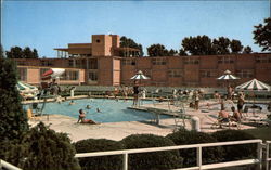 The Shoreham Hotel-Motor Inn Postcard