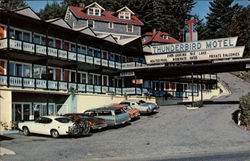 Thunderbird Motor Inn - Overlooking the Lake Lake Placid, NY Postcard Postcard