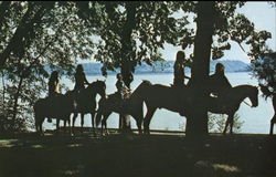 Trail Rides Along the Shores of Lake Pepin - Camp Villa Maria Frontenac, MN Postcard Postcard