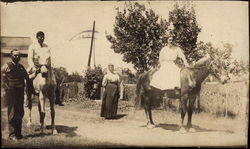 People Riding Horses Postcard