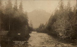 Cheakamus River from Bridge British Columbia Canada Postcard Postcard