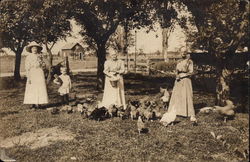 Family Feeding Chickens Michigan Postcard Postcard