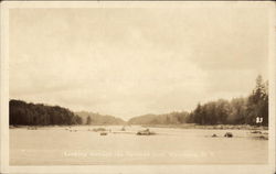 Looking through the Narrows Postcard