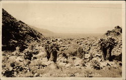 View of the Desert from Palm Canyon Palm Springs, CA Postcard Postcard