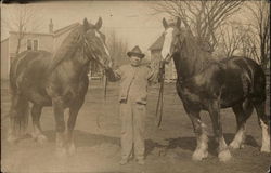 Hurrah for Onarga Horses Postcard