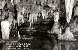 First Lily Pad Room, Onondaga Cave Postcard